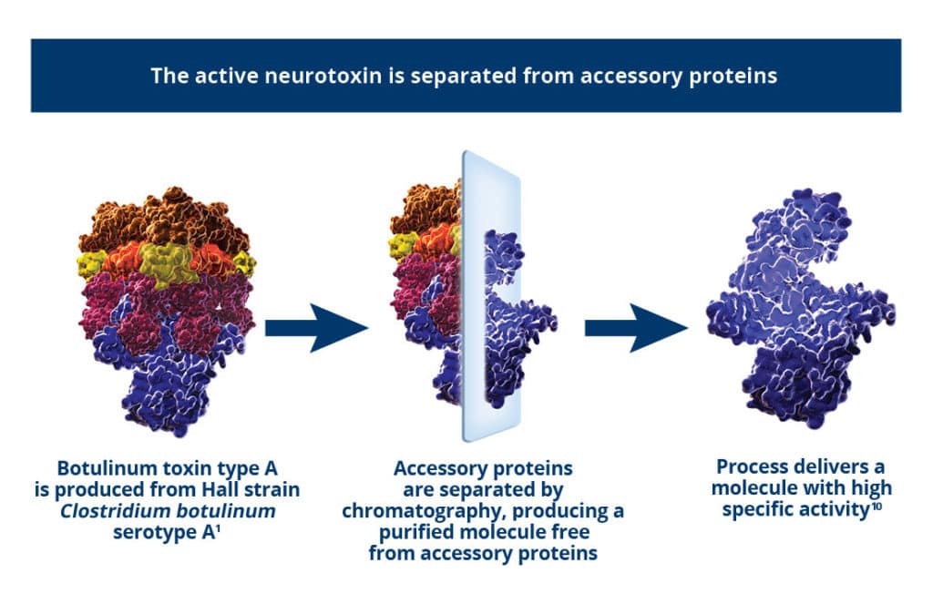 Xeomin explained with an image